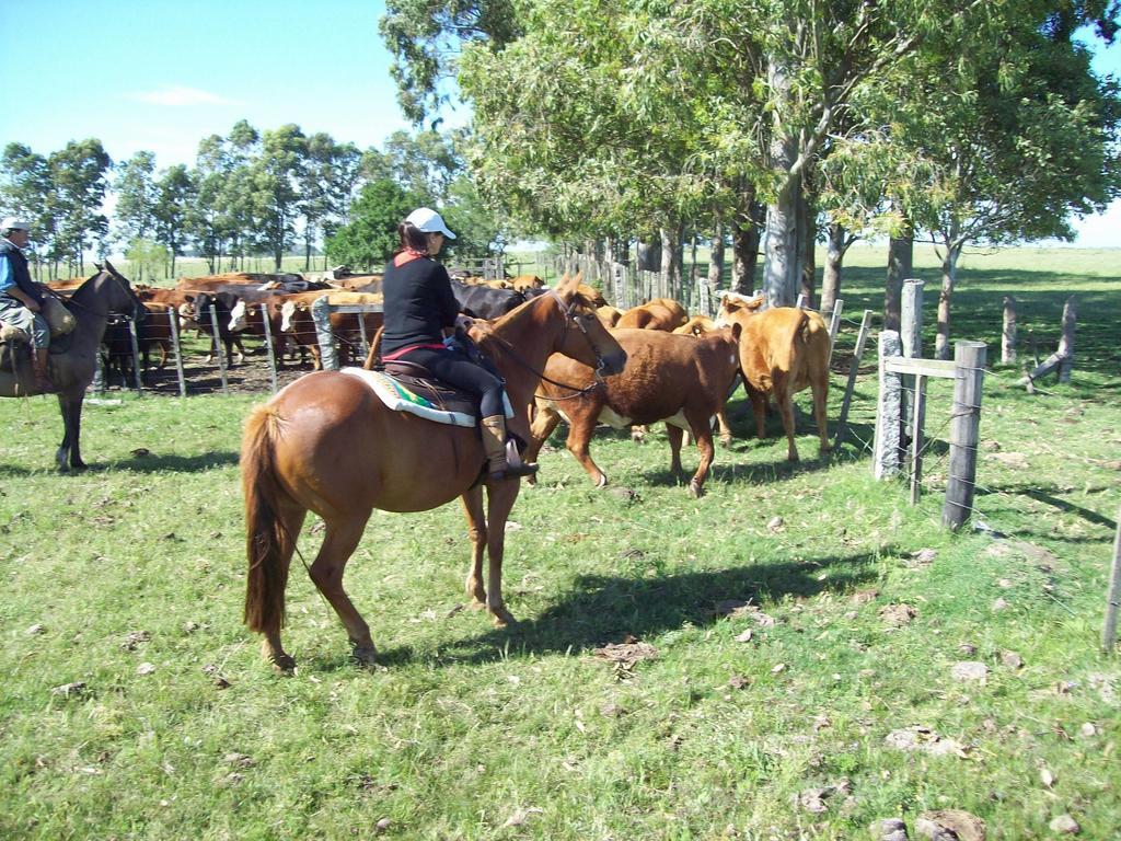 Estancia Turistica La Amorosa Trinidad Oda fotoğraf