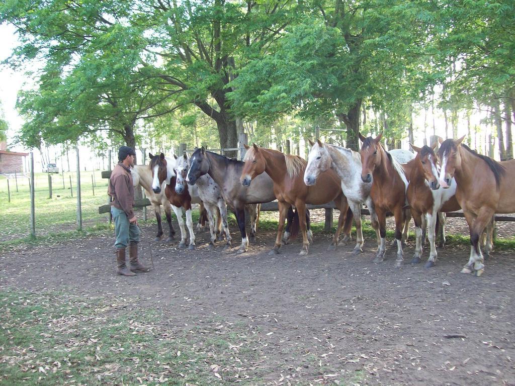 Estancia Turistica La Amorosa Trinidad Oda fotoğraf